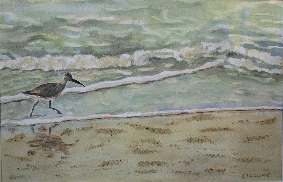 Shorebird Painting by Jill Ciccone Pike