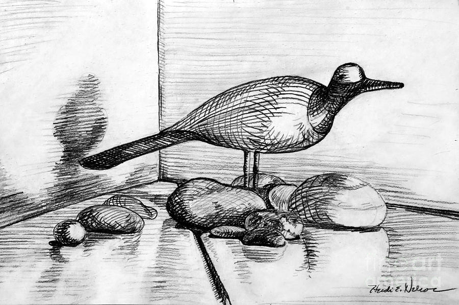 Shorebird Still Life Drawing by Heidi E Nelson