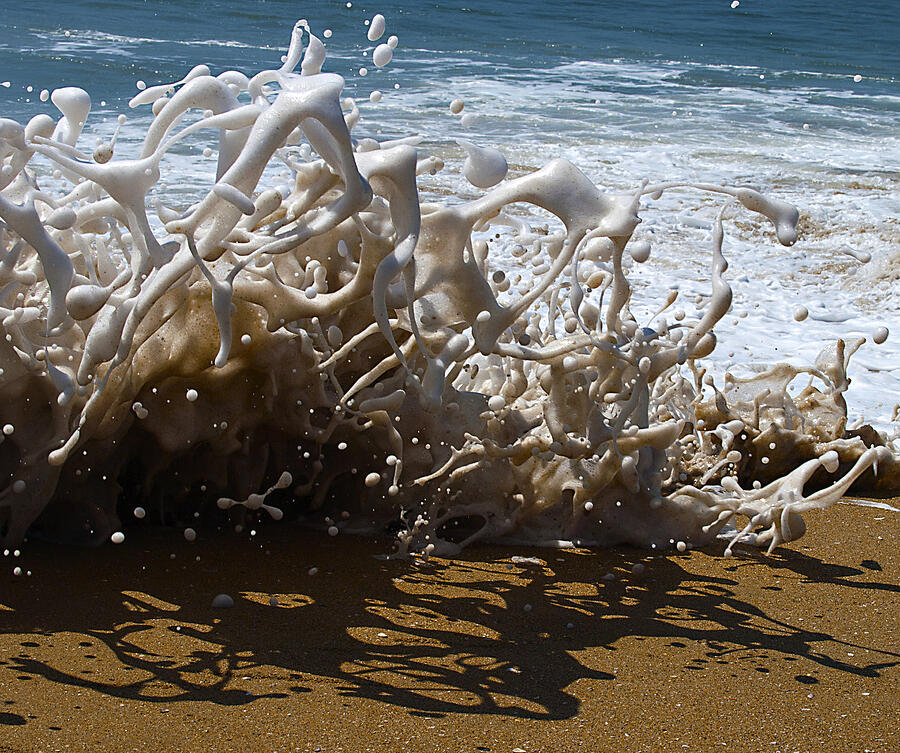 Shorebreak - The Wedge Photograph by Joe Schofield