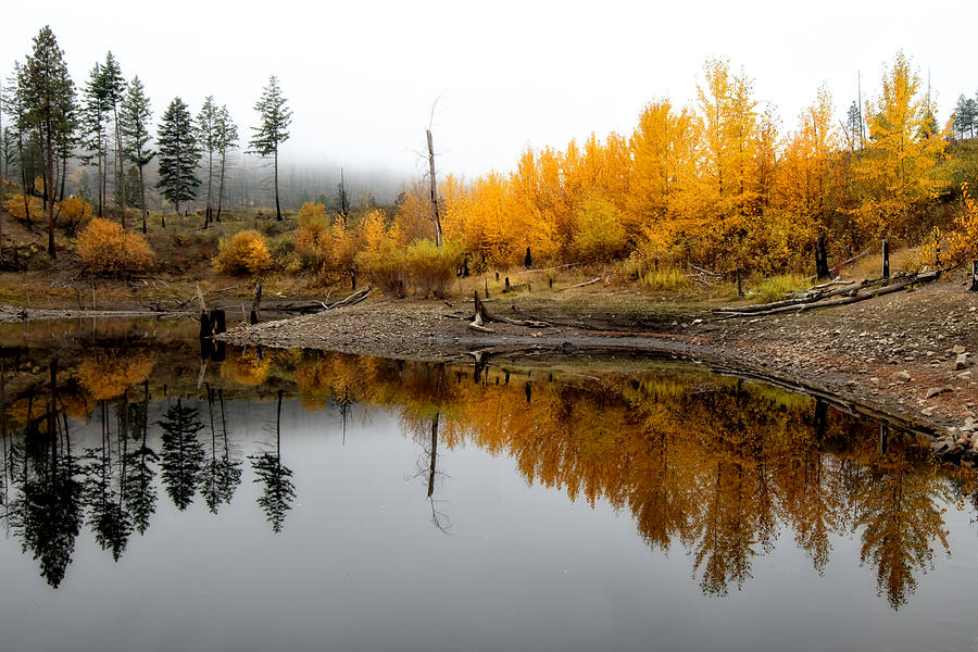 Shoreline and Trees in Autumn Photograph by Allan Van Gasbeck