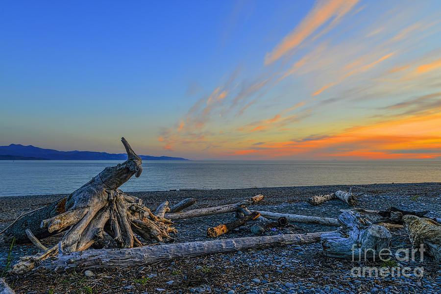 Shoreline on Homer Spit Alaska Photograph by Dan Friend
