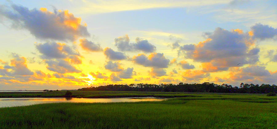 Shoreline Sunset 1 Photograph by Sheri McLeroy