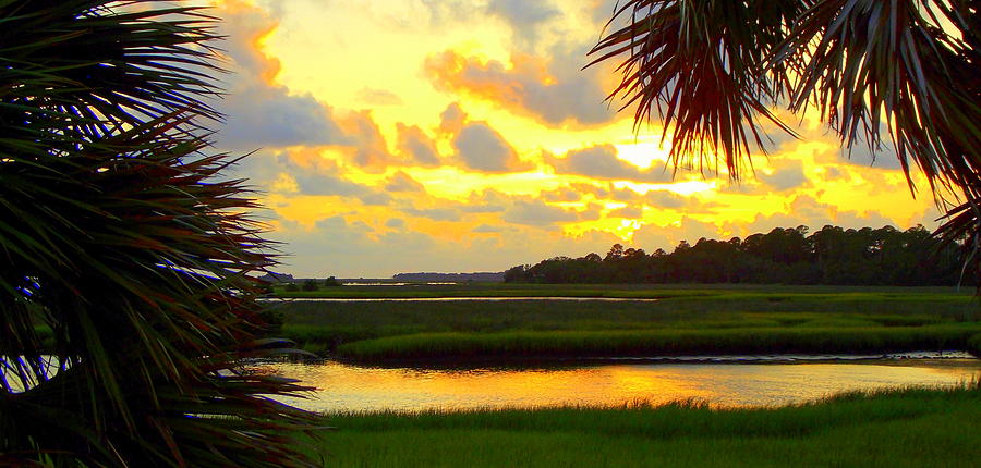 Shoreline Sunset 3 Photograph by Sheri McLeroy