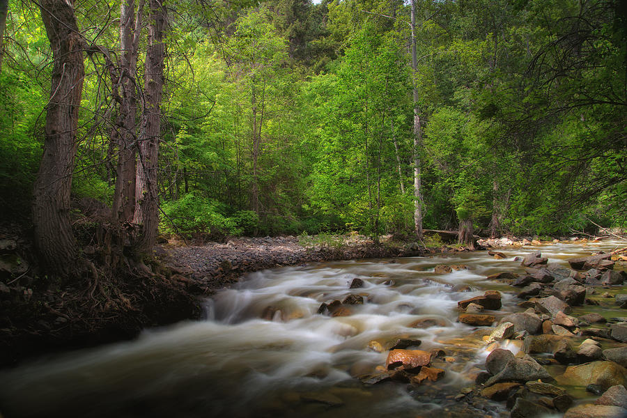 Shorts Creek Photograph by Allan Van Gasbeck