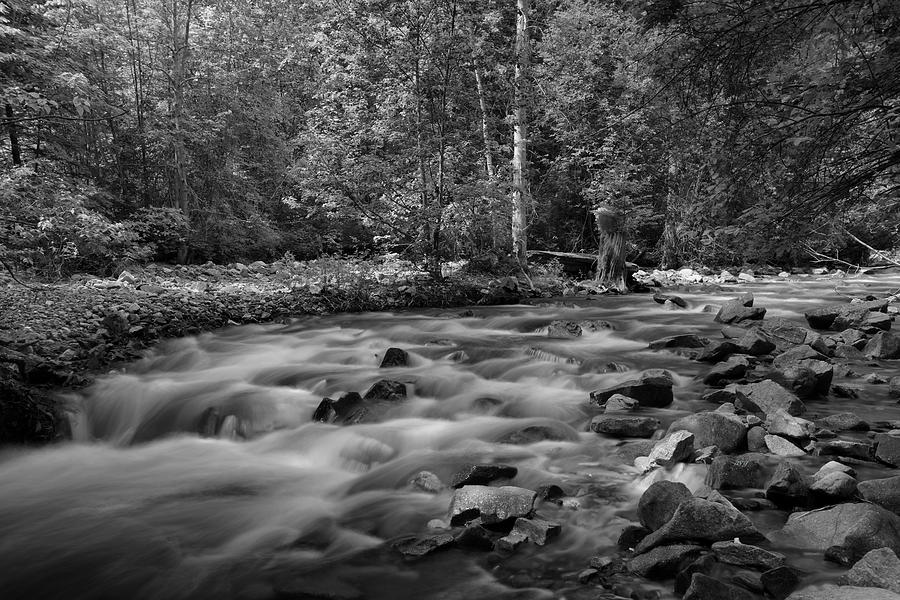 Shorts Creek Black and White Photograph by Allan Van Gasbeck