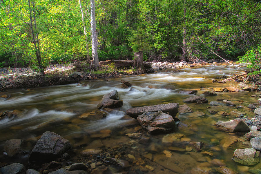 Shorts Creek Whisper Photograph by Allan Van Gasbeck