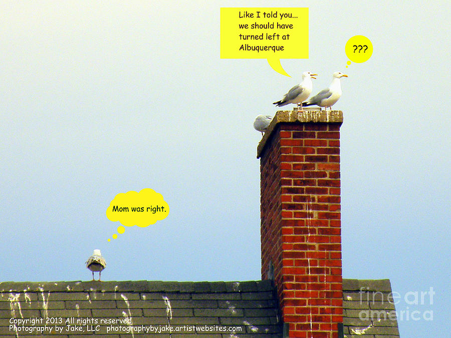 Bird Humor Photograph - Should Have Taken by Joe Pratt