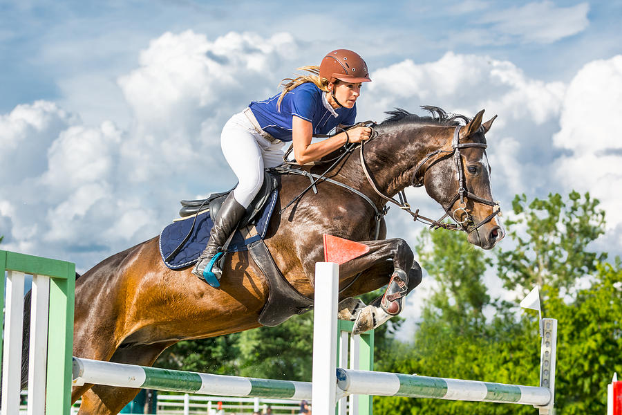 Show jumping - horse with female rider jumping over hurdle Photograph by Zocha_K