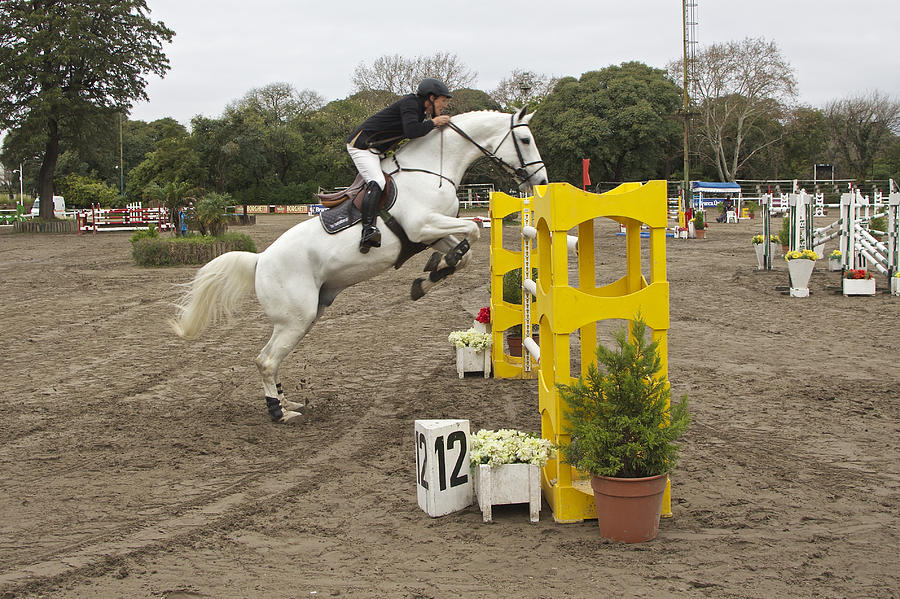 Show Jumping in Argentina #2 Photograph by Venetia Featherstone-Witty