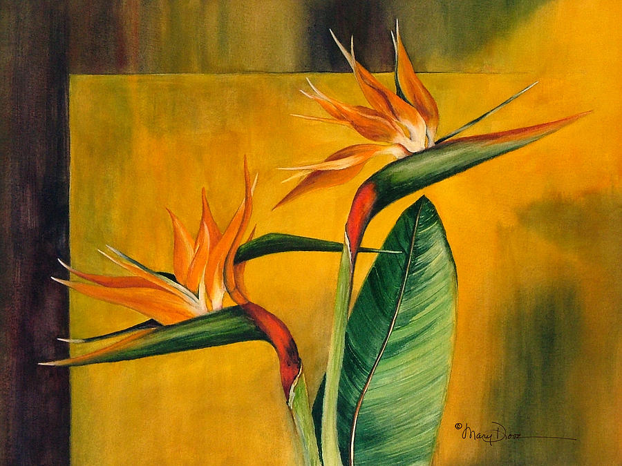Show Offs Bird of Paradise Painting by Mary Dove