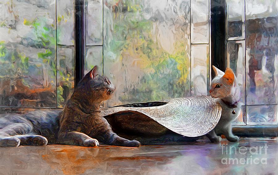 Cat Photograph - Showdown Over Her Mexican Hat by John  Kolenberg