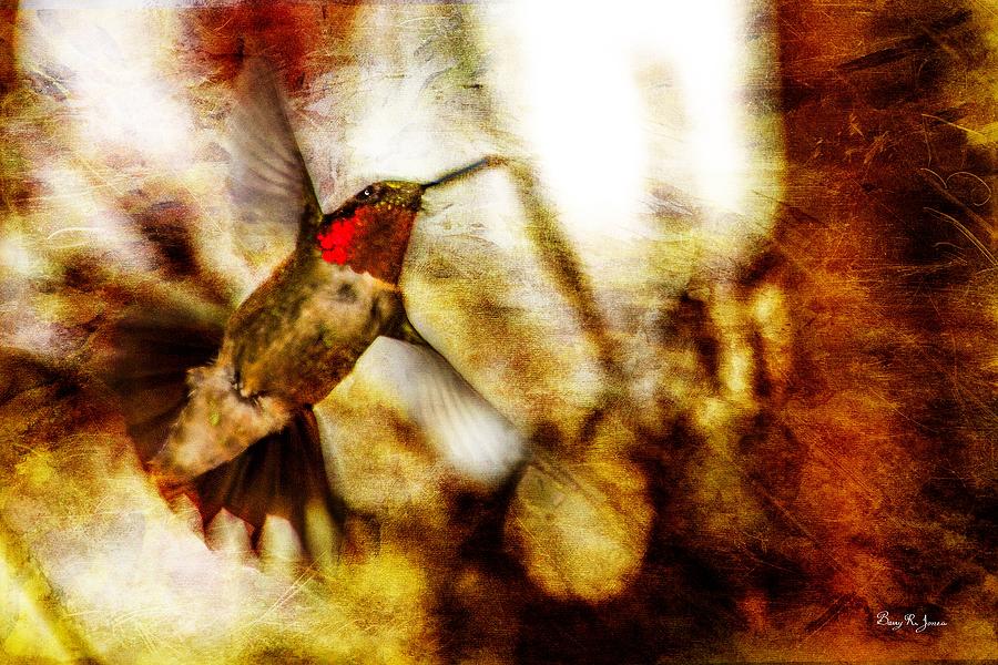 Hummingbird - In Flight - Showing Color Photograph by Barry Jones