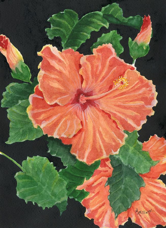 Flowers Still Life Painting - Showy Hibiscus by Marsha Elliott