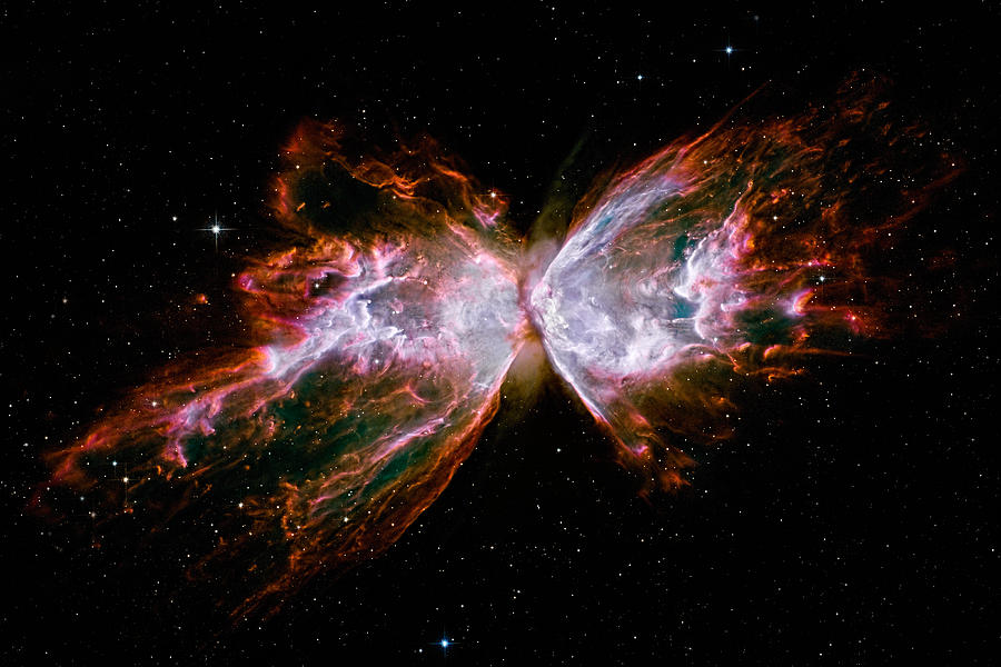 Shredded Butterfly NGC 63 Photograph by Weston Westmoreland