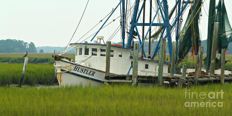 Shrimp Boat and Pelican - Lowlands of South Carolina Photograph by Anna Lisa Yoder
