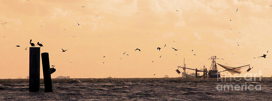 Shrimp Boat and Pelicans Photograph by Luana K Perez