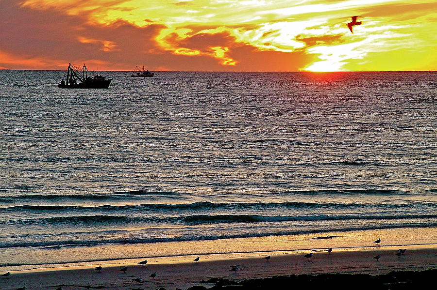 Shrimp Boats and Gulls over Sea of Cortez at Sunset from Playa Bonita Beach-Mexico Photograph by Ruth Hager
