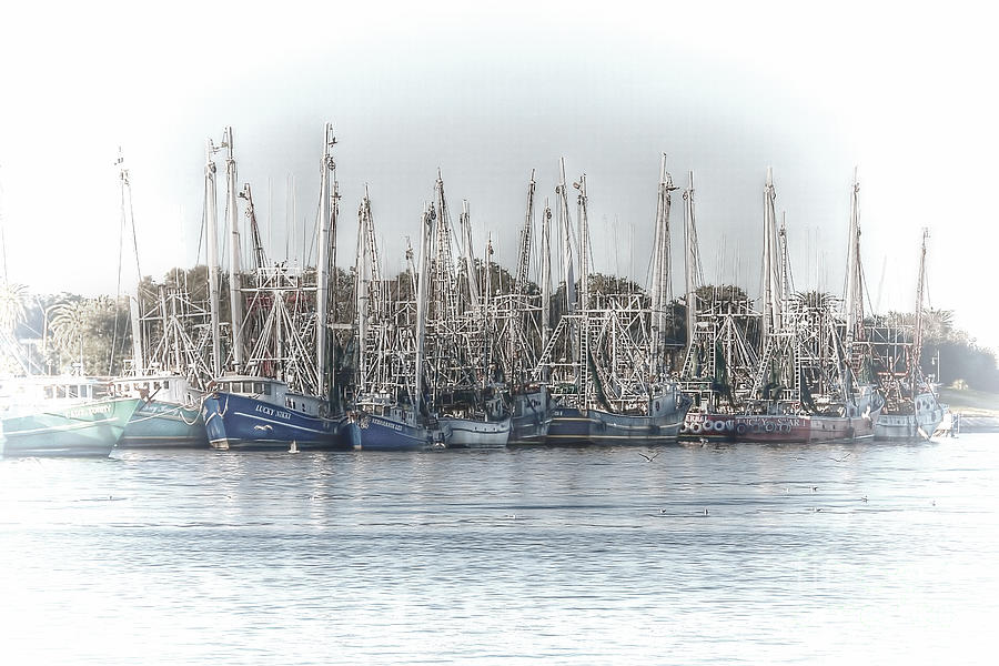 Shrimp Boats Docked at Port Arthur Photograph by D Wallace