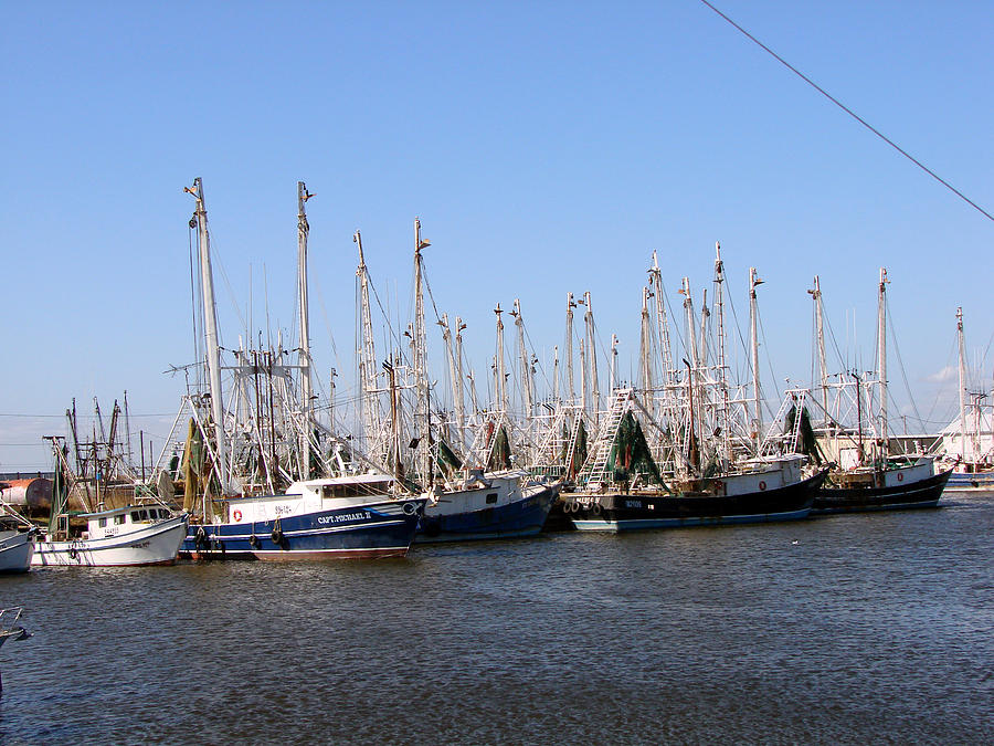 Shrimp Boats In Port At Palacious Photograph by Linda Cox