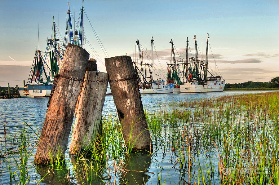 Fish Photograph - Shrimp Dock Pilings by Scott Hansen