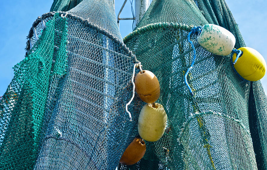 Shrimp Net Close Up Photograph by Sandi OReilly