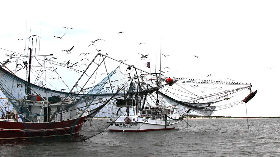 Boat Photograph - Shrimpers at Work - Boat - Miss Kathleen by Travis Truelove
