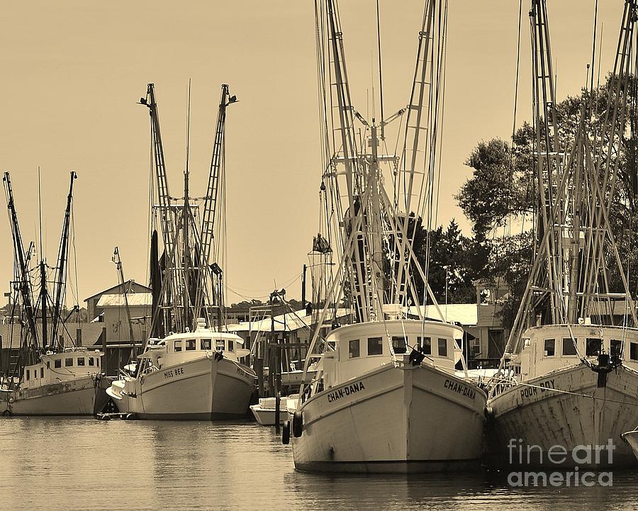 Shrimpers In Sepia Photograph by Bob Sample