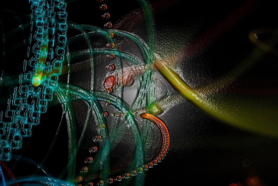 Shrink Wrapped Photograph by Liz Poeppelman Fine Art America