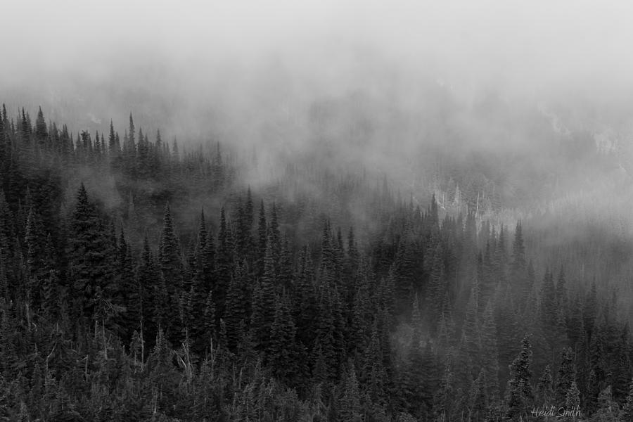 Shrouded In Mist Photograph by Heidi Smith