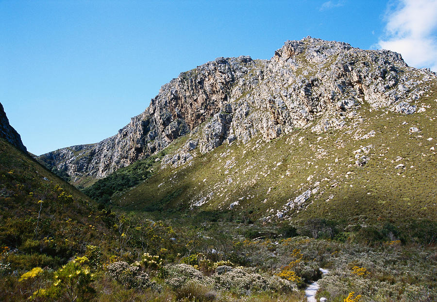 Shrubland And Mountain Terrain, South Photograph by Carleton Ray