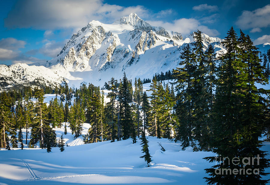 Mountain Photograph - Shuksan Winter Paradise by Inge Johnsson