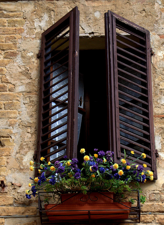 Shutters and Flowers Photograph by Caroline Stella