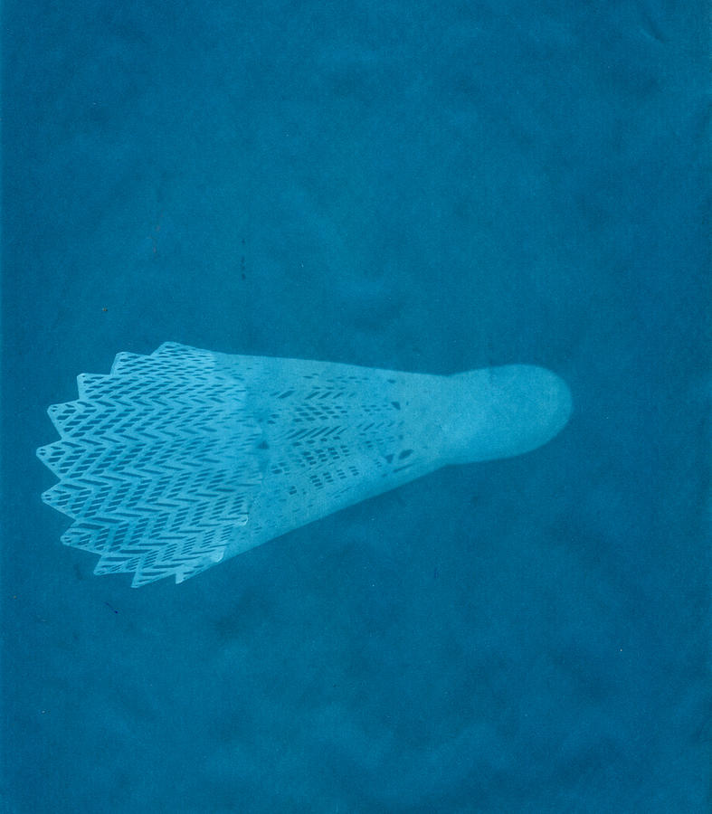 Shuttlecock in Blue Photograph by Joshua House