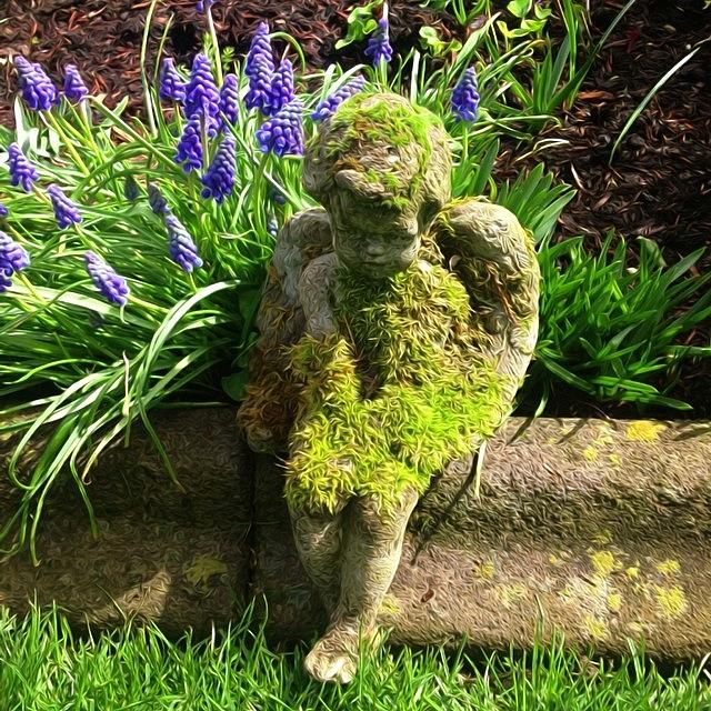 Shy Cherub Covered With Moss Photograph by Rita Frederick