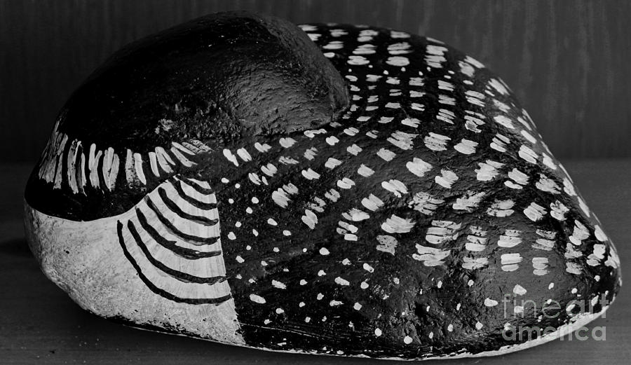Shy Loon - Painted Rock - Seabird - One of a Kind Photograph by Barbara A Griffin