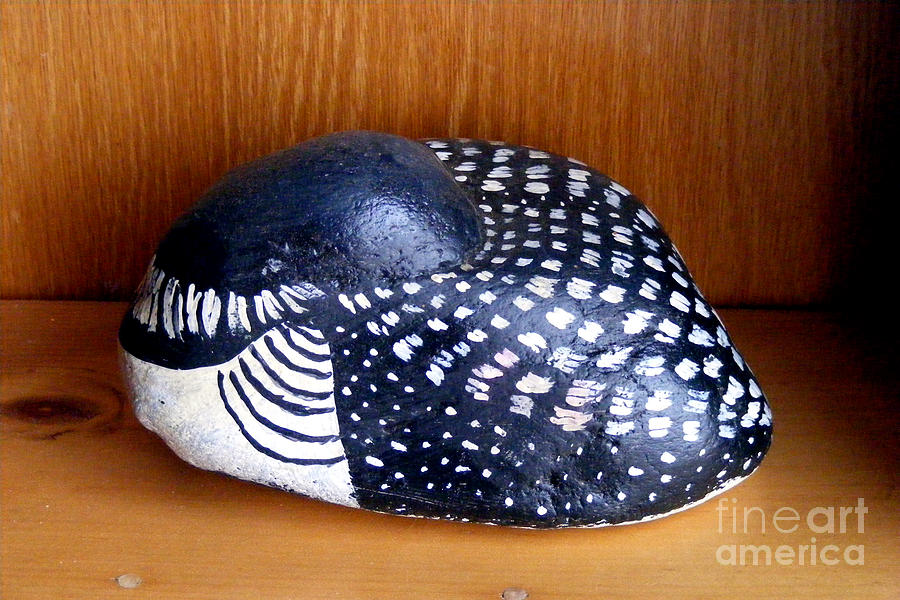 Shy Loon Rock Mixed Media by Barbara A Griffin