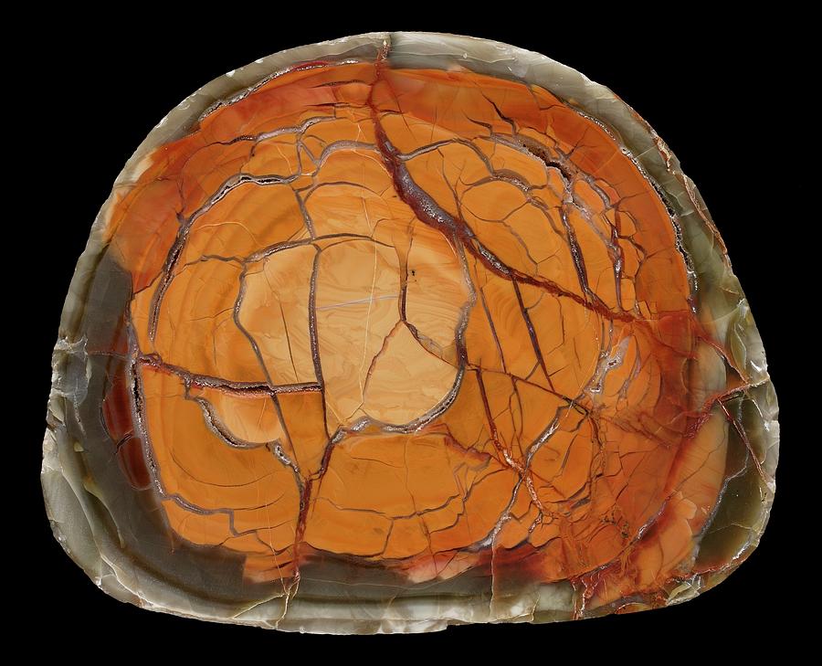 Siam Siding Agate Photograph by Natural History Museum, London/science Photo Library