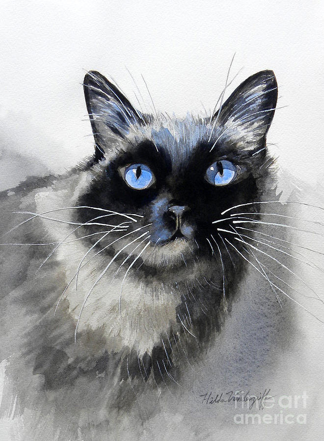 Siamese Cat Painting by Hilda Vandergriff