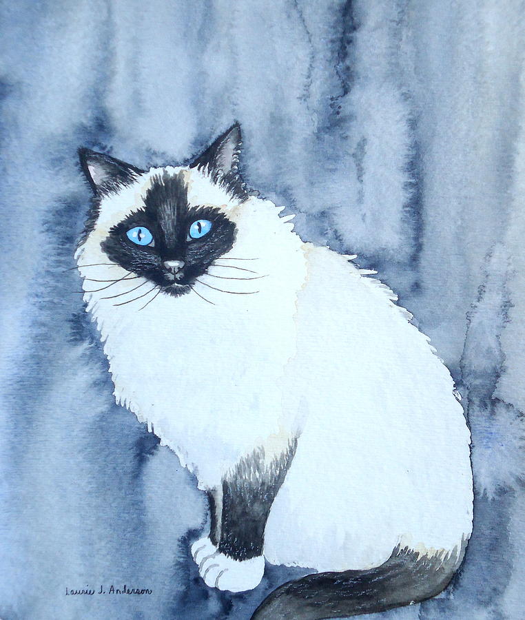 Cat Painting - Siamese Cat by Laurie Anderson