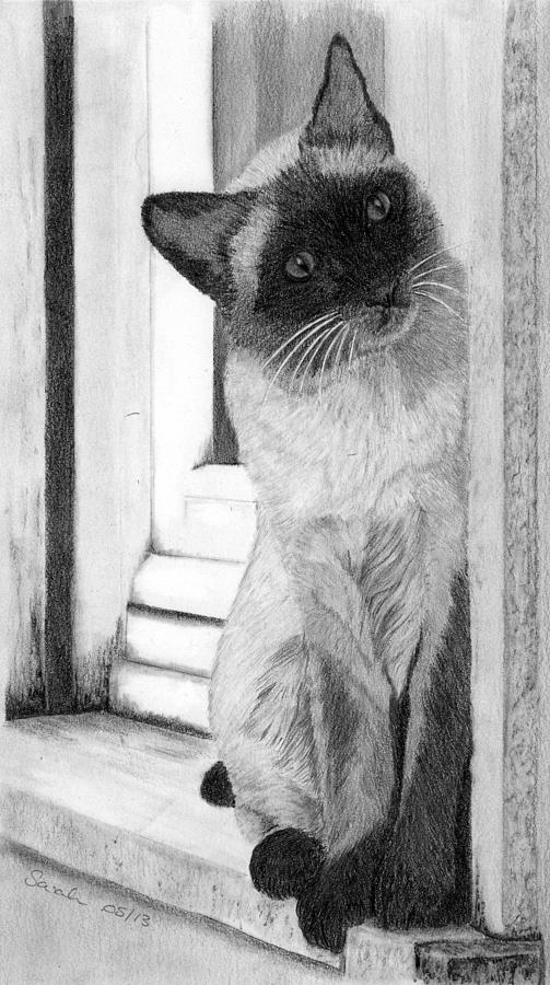 Siamese Cat Painting - Siamese Cat on the Window Sill by Sarah Dowson