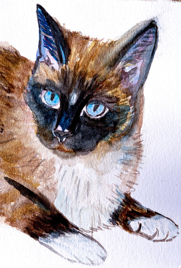 Siamese Cat Portrait Photograph by Her Arts Desire
