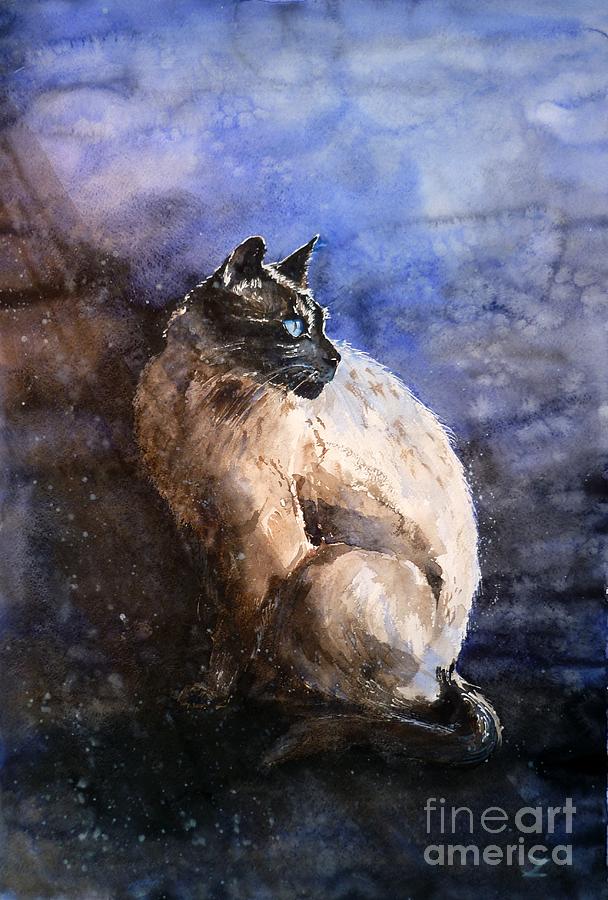 Animal Painting - Siamese Cat by Zaira Dzhaubaeva