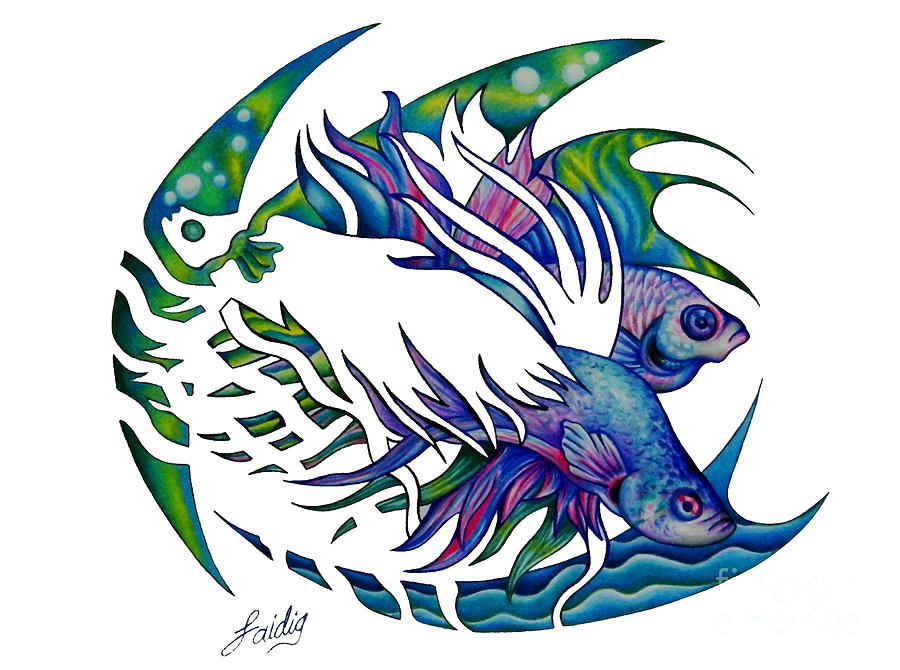 Siamese fighting fish Drawing by Aarron  Laidig