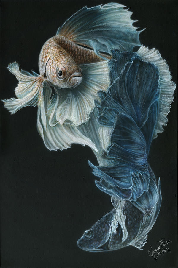 Siamese Fighting Fish Three Painting by Wayne Pruse