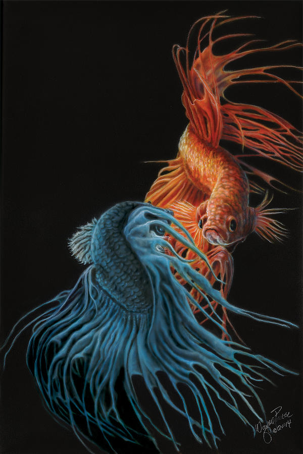 Siamese Fighting Fish Two Painting by Wayne Pruse