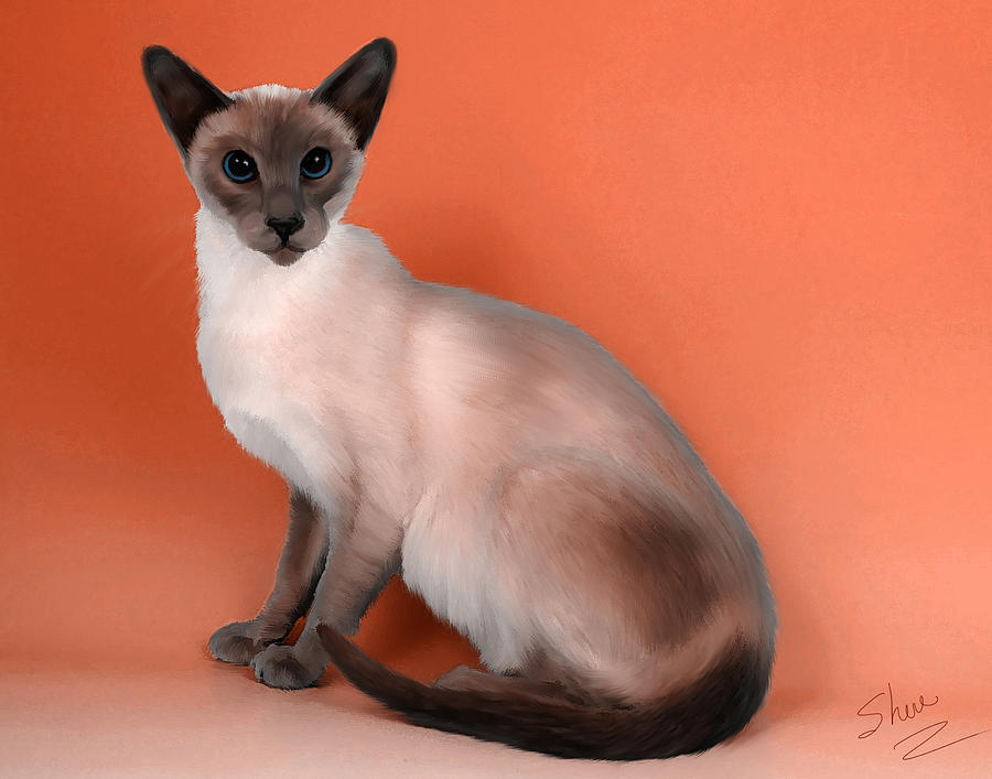 Cat Painting - Siamese by Shere Crossman