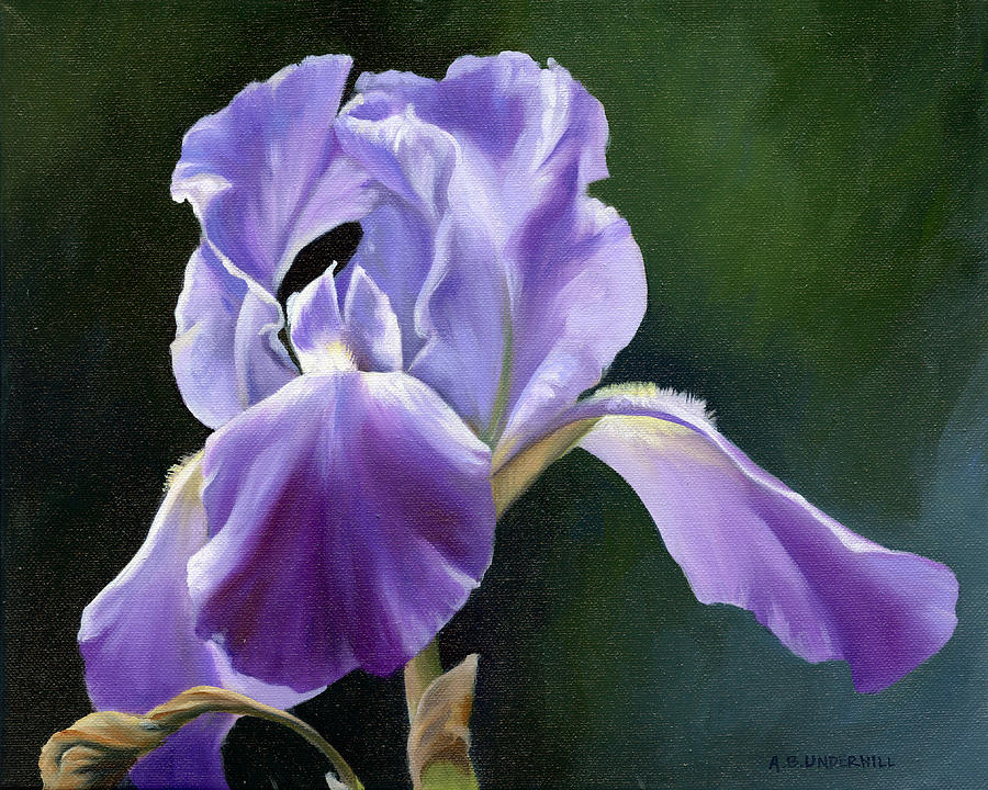 Siberian Iris Painting by Alecia Underhill