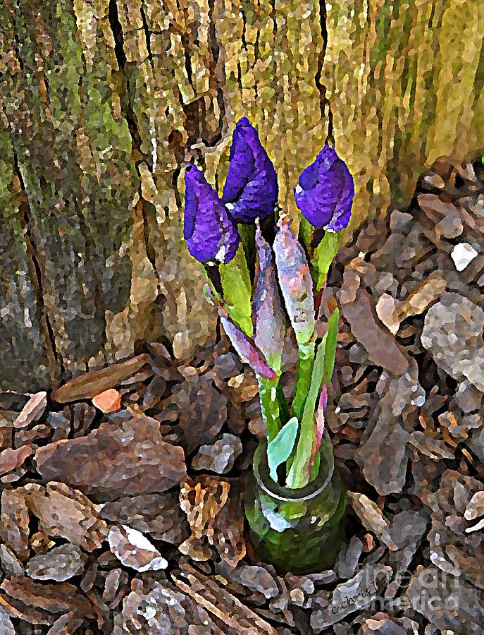 Siberian Iris Photograph by Chris Berry