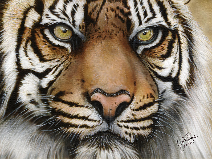 Siberian Tiger Closeup Painting by Wayne Pruse