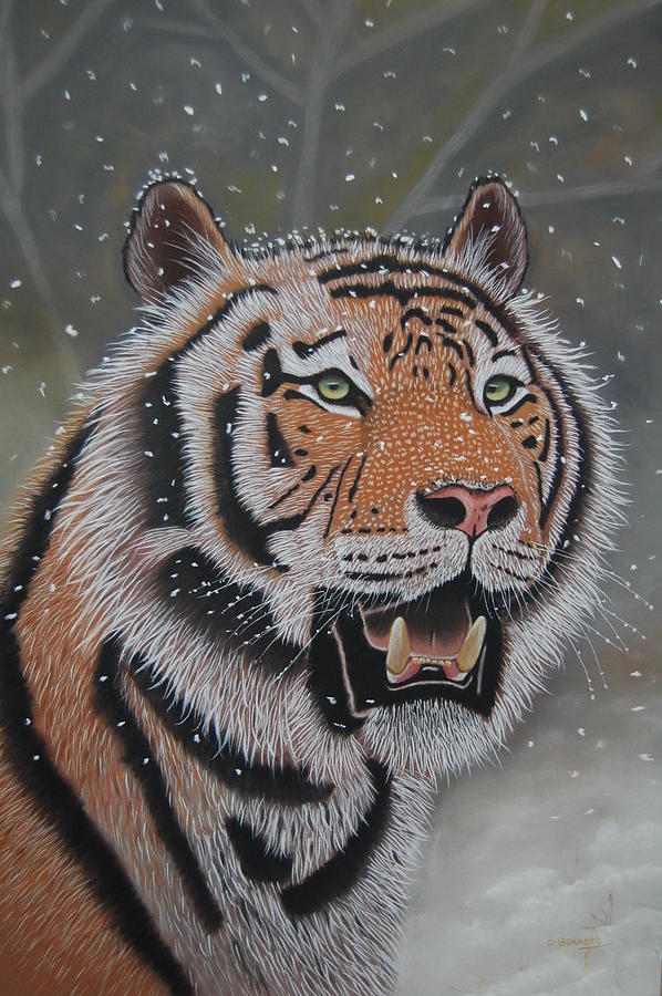 Wildlife Pastel - Siberian tiger by David Bennett